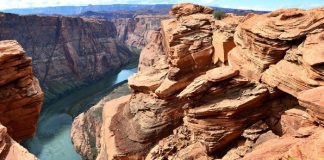 Giant Canyon Swing