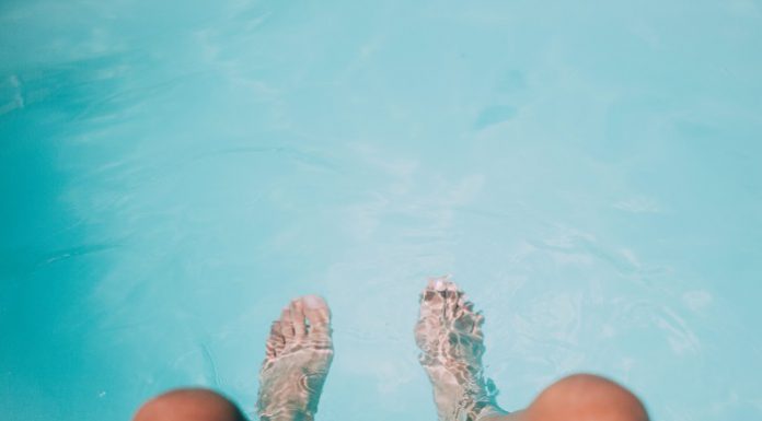 gambe