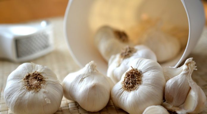 aglio