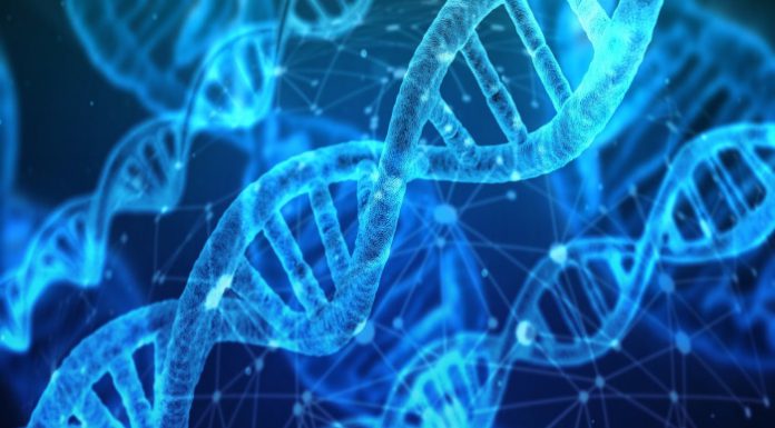 dna