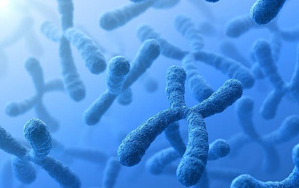 l'analisi citogenetica